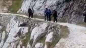 Captura del vídeo en el que se ve cómo arrojan el jabalí.