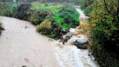 VALDEPEÑAS. Espectacular caudal del río Ranera, a su paso por el término municipal valdepeñero. 