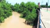 CONTROVERSIA. Imagen del cauce del río Guadalquivir a su paso por el término municipal de Villanueva de la Reina.