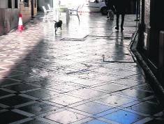 idcon=12566837;order=15