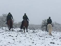 idcon=13171857;order=9