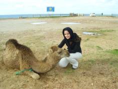 idcon=12964396;order=21