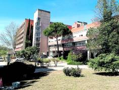 idcon=13257710;order=9