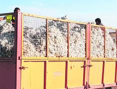 idcon=13530052;order=12