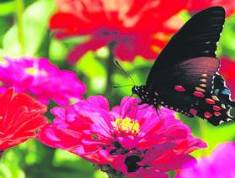 idcon=12171443;order=18