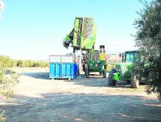 idcon=13530060;order=20