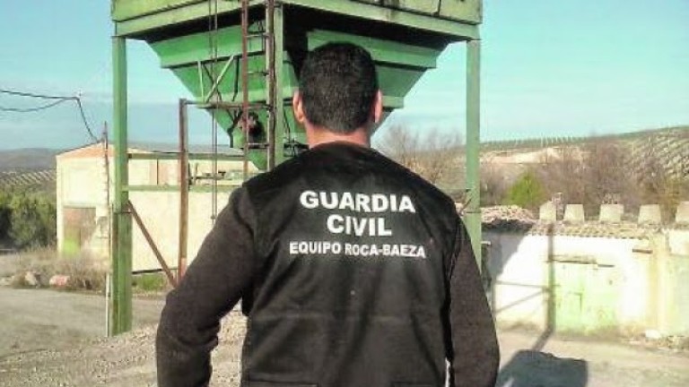 La Guardia Civil investiga a siete personas como presuntas autoras de hurtos de aceituna