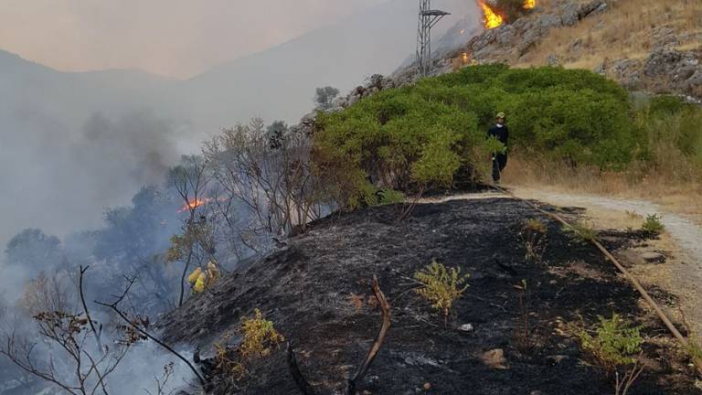 El Ayuntamiento investiga las causas del incendio en la Fuente de la Peña