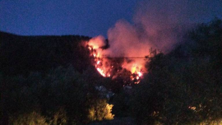 Controlado el incendio forestal declarado en Beas de Segura