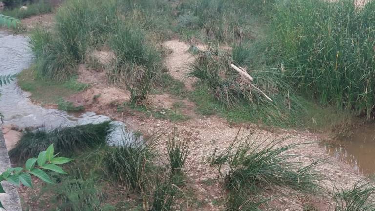 Limpieza en el río Guadalimar