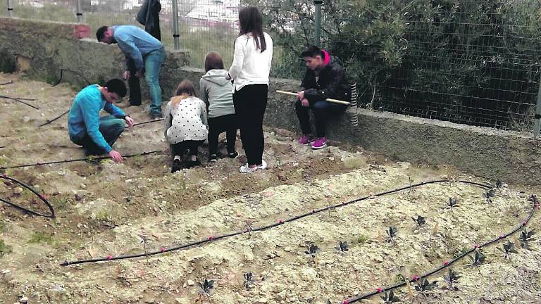 Ejemplo en educación ambiental