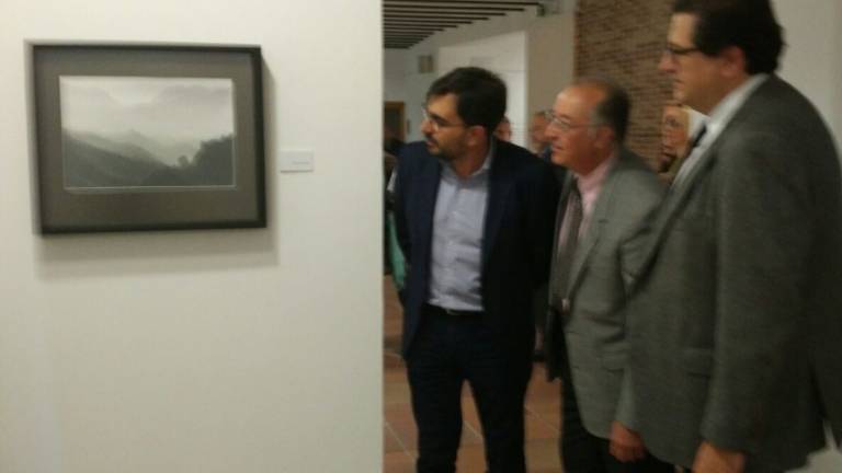 El paisaje del olivar protagoniza una exposición por el Día de los Museos