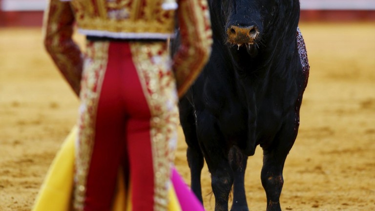 El Festival Taurino Contra del Cáncer se celebrará el día 25 de Marzo en la Plaza de Toros de Jaén