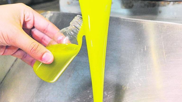 Las cooperativas capitanean la producción y la venta del aceite