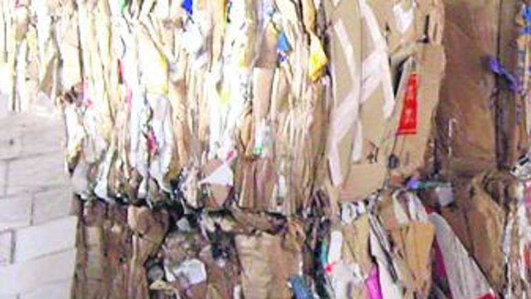 Aprompsi mantiene unos 29.000 árboles