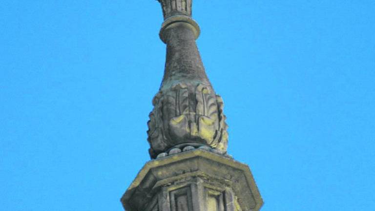 Un grupo de cigüeñas sobre la Catedral atrae a los paseantes