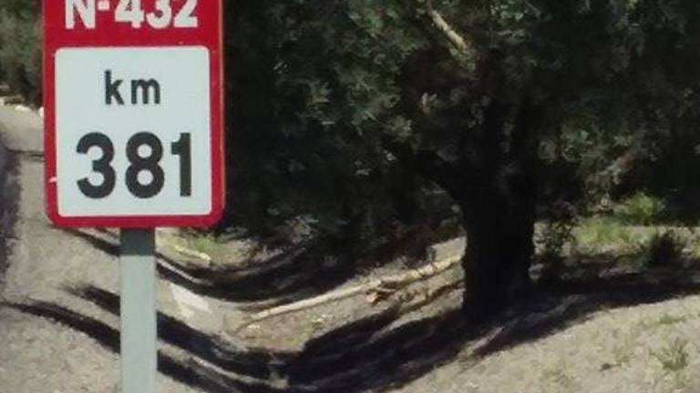 Quejas por la presencia de varios olivos en la N-432