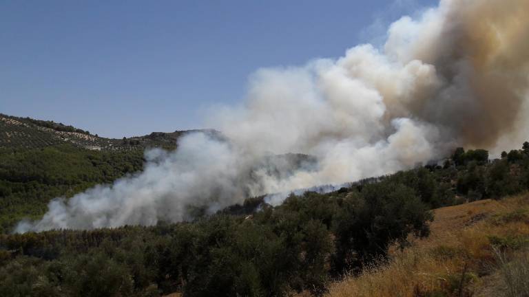 Fuego en el paraje villariego del Portichuelo