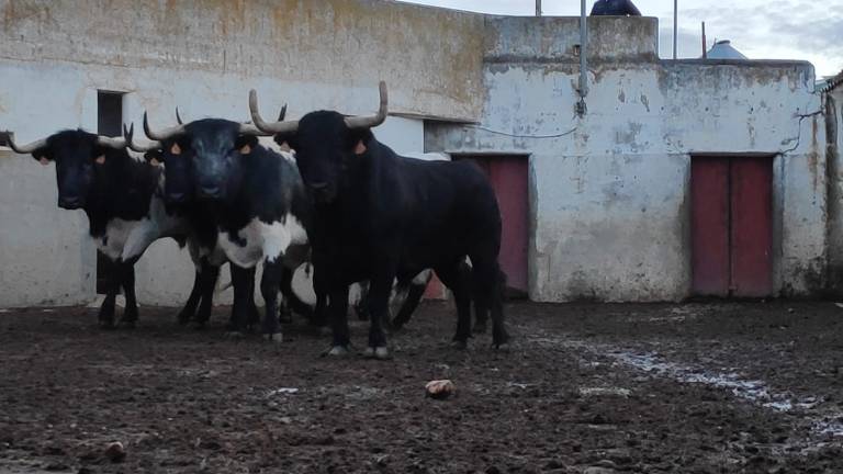 Beas de Segura celebra San Marcos
