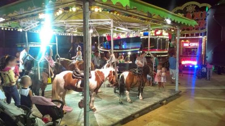 Pacma pide la prohibición de atracciones con ponis en las ferias de Jaén