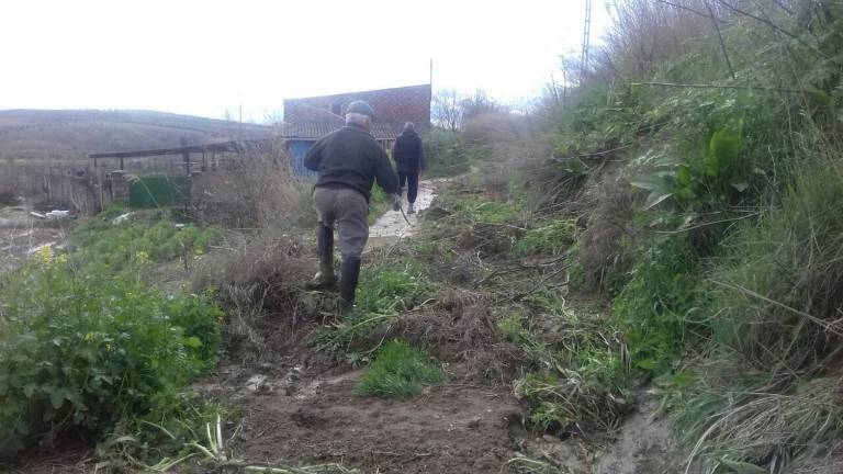 Desperfectos en Las Infantas