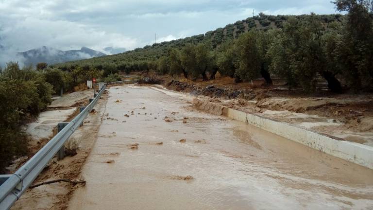 El agua apenas cala la tierra y el campo clama por más lluvia