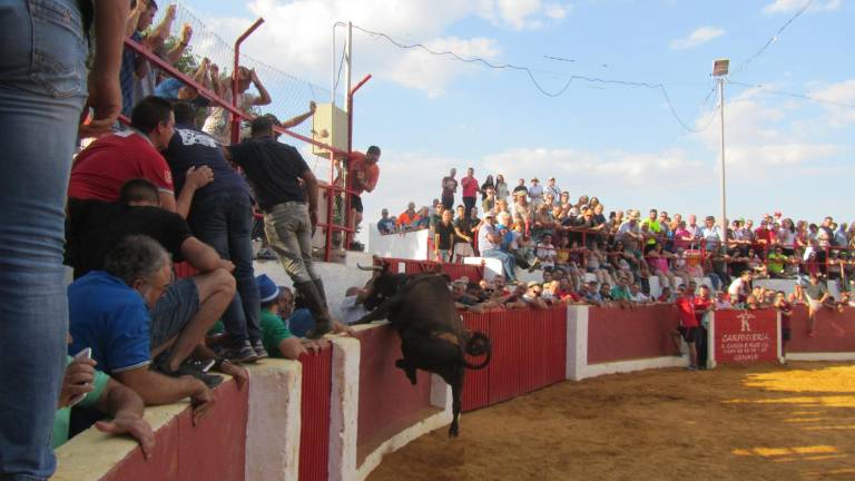 Toros muy ‘traviesos’ en el campo