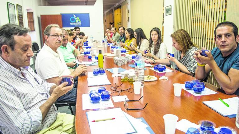 Curso de iniciación a la cata del aceite de oliva