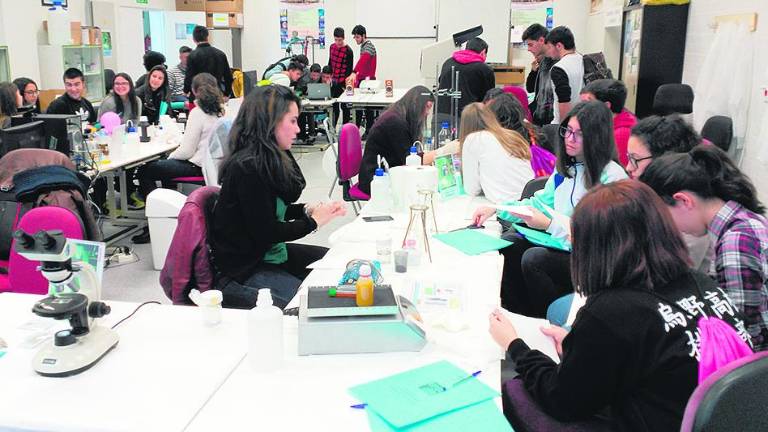 La labor femenina en la Ingeniería