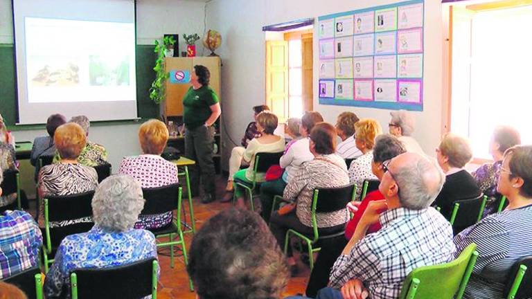 Mayores muy participativos