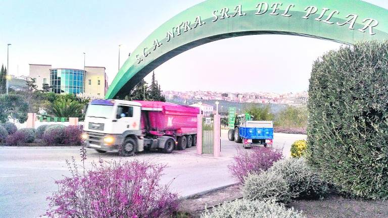 Campaña olivarera de récord