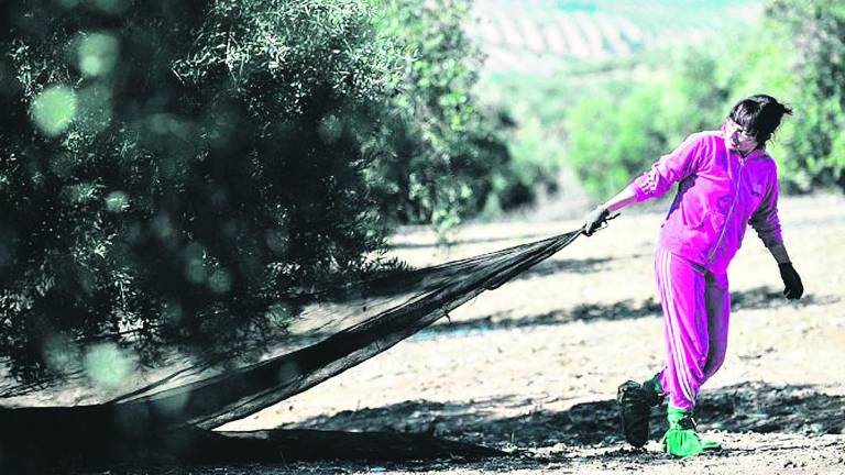 Igualdad para romper el techo de cristal sobre las mujeres