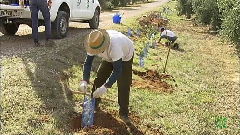 “Tierra y mar” destaca la diversidad biológica del olivar