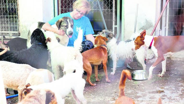 “Arconatura” prevé superar dificultades
