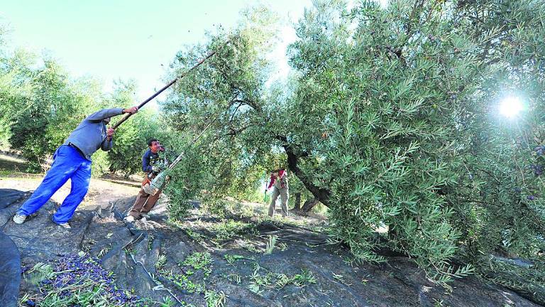 Concentración para exigir la eliminación de las peonadas