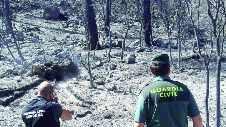 La Guardia Civil cree que el autor del fuego está en Segura de la Sierra