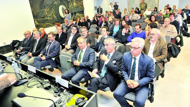 Construir el futuro del olivar