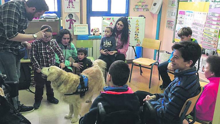 Una iniciativa para educar con perros