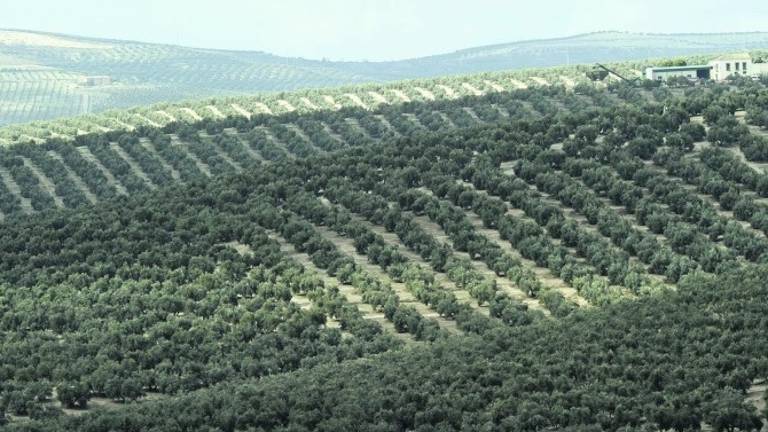 Centrados en el análisis de los ecosistemas