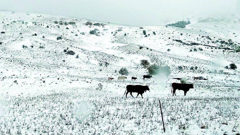 A la espera de otra nevada en pleno otoño