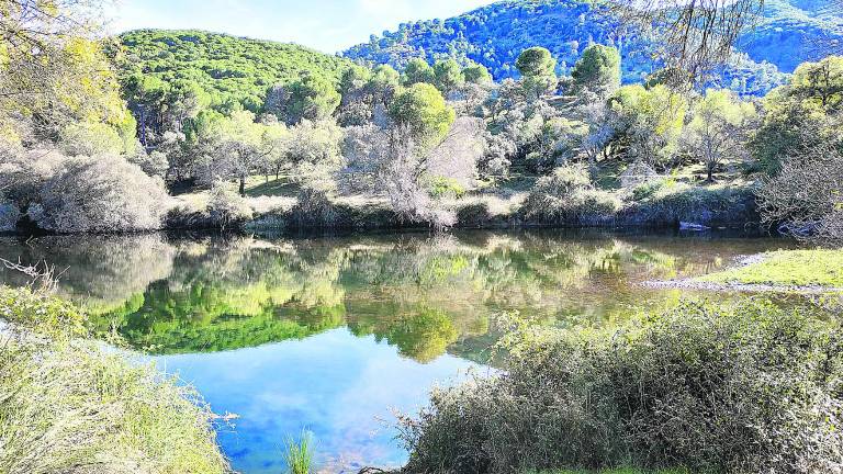 Sierra Morena acoge rutas de ornitología