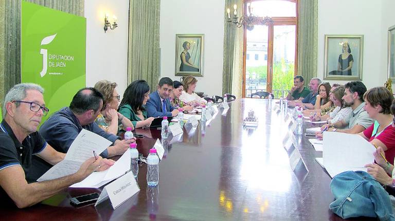 PROYECTOS. <i> La Administración provincial concederá un total de 375.000 euros.</i>