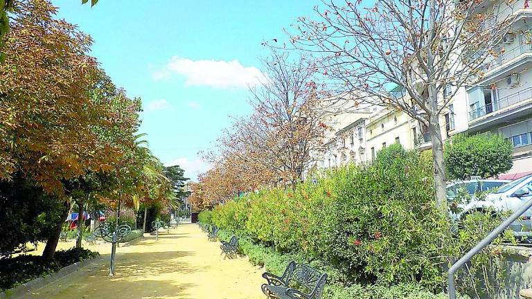 El deterioro del Paseo de los Álamos suscita descontento