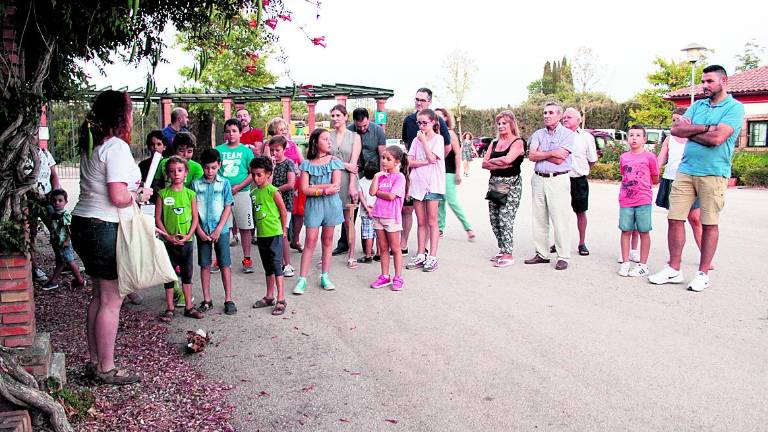 Actividad para conocer el lince en profundidad