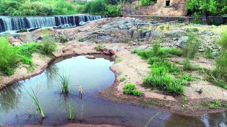 El río Guadalimar ofrece una imagen desoladora