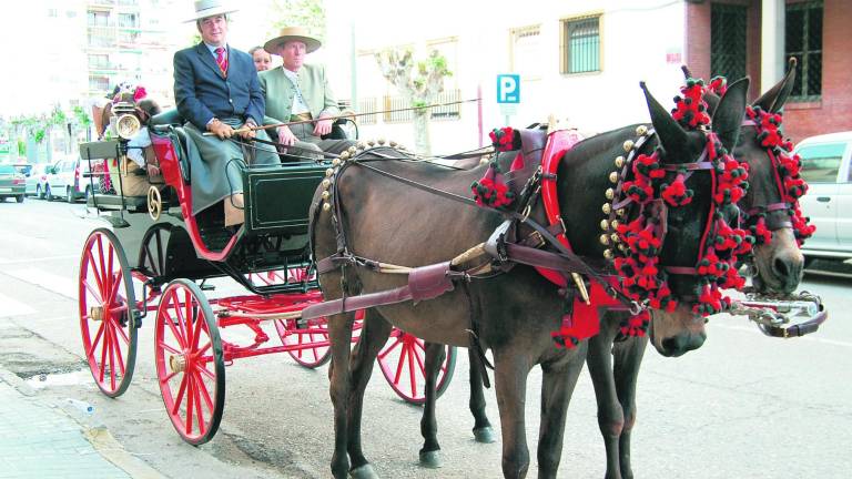 Dos concursos para amantes del caballo