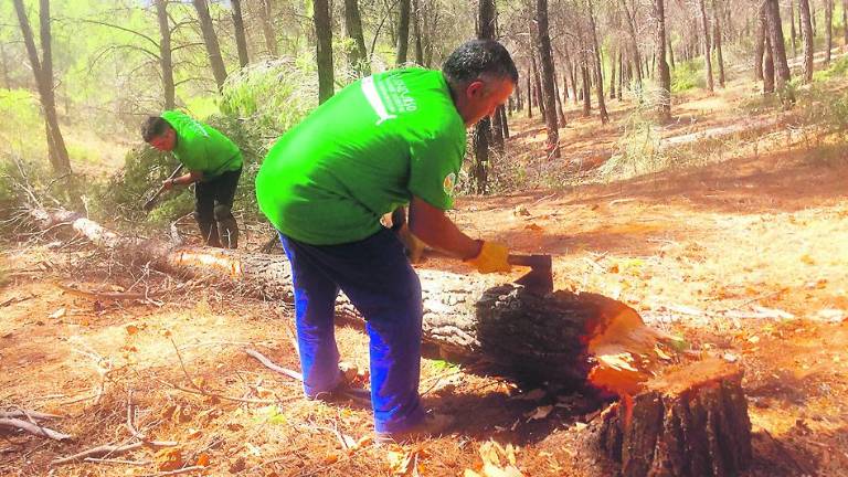 Destreza de los “hacheros” en Siles