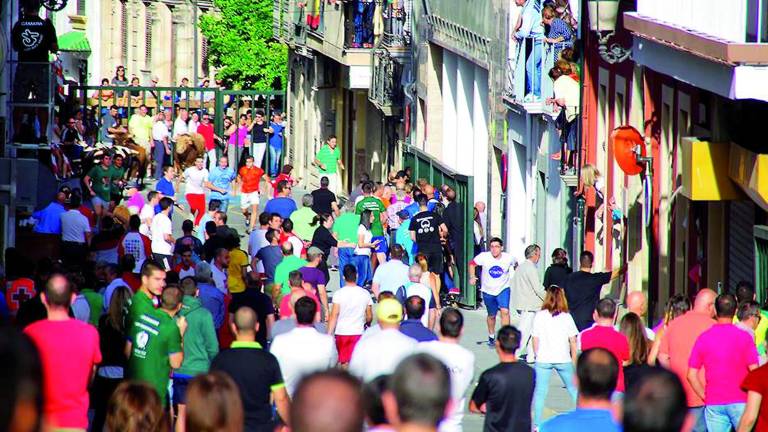 Alta participación en la feria