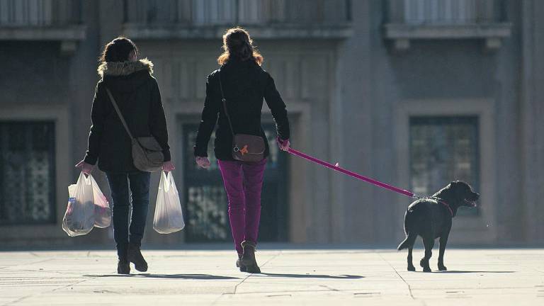 Hallan cebos “mataperros” en parques públicos