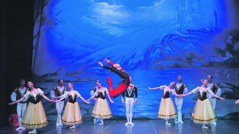 El lago de los cisnes se luce en la ciudad renacentista